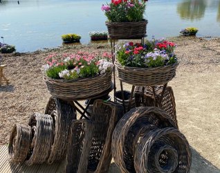 Tendances Jardins Luxembourg