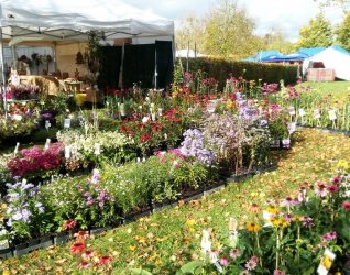 Tendances Jardins Luxembourg